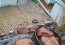 Fortes chuvas provocam deslizamento de terra e atinge residência
