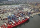 Maior exportador do Sul, Paraná mandou produtos para 214 mercados em 2024