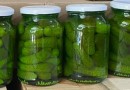 Safra de pepino indústria tem aumento na produtividade
