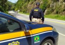 PRF inicia Operação Semana Santa 2026 nas rodovias federais
