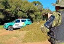 Agricultor é multado e responderá por crime ambiental após arrancar musgo em área protegida no Paraná