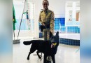 Polícia Militar realiza demonstração com cães em escola