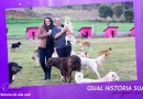 Mari Olivier conta história de mulher que cuida de quase 80 cães em sua casa