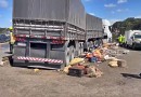 Tragédia: Caminhão invade barraca de frutas e mata vendedor