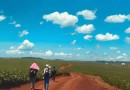 Santo Antônio entra no mapa da peregrinação no Paraná