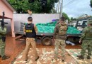 Paraná foi o estado que mais apreendeu maconha nos três primeiros meses de 2024