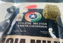Polícia Militar atende ocorrência de violência doméstica e apreende drogas em Dionísio Cerqueira