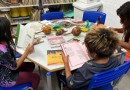 Paraná é o estado com o maior número de escolas com bibliotecas