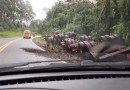 Carreta bitrem carregada com adubo sai da pista e tomba na BR-163