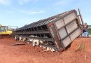 Carreta com carga de bois tomba em trecho em obras na BR-163 e deixa 10 animais mortos