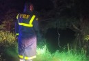 Criança morre e pai desaparece após caminhão sair da pista e cair em represa
