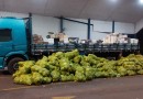 Caminhão carregado com vinhos e azeites é apreendido na fronteira