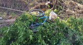 Ciclista sobrevive após despencar de barranco de 8 metros de altura em rodovia no Paraná