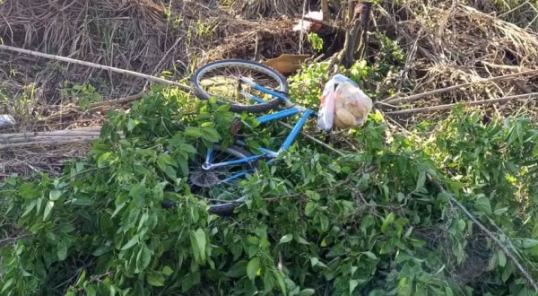 Ciclista sobrevive após despencar de barranco de 8 metros de altura em rodovia no Paraná