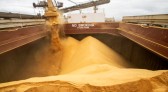Exportações do Paraná aumentam 11,7% nos primeiros oito meses de 2023