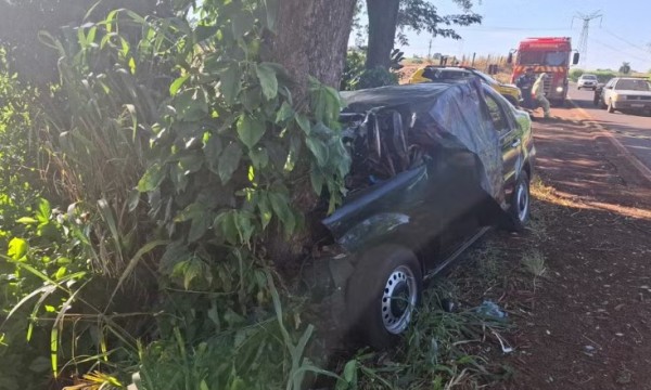 Casal morre após perder controle de carro e colidir contra árvore