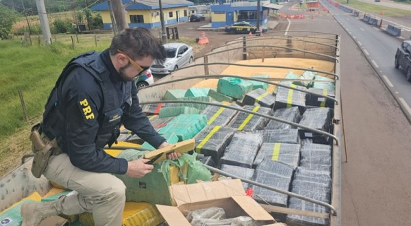 PRF apreende, no Paraná, a maior quantidade de maconha do ano em rodovias federais