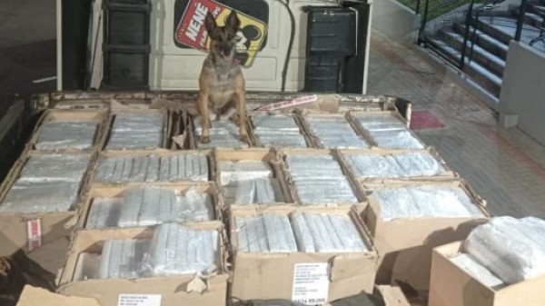 Polícia Rodoviária apreende 667 kg de maconha em caminhão na PRC-280, em Vitorino