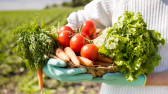 Prefeitura cadastra agricultores familiares para aquisição de alimentos