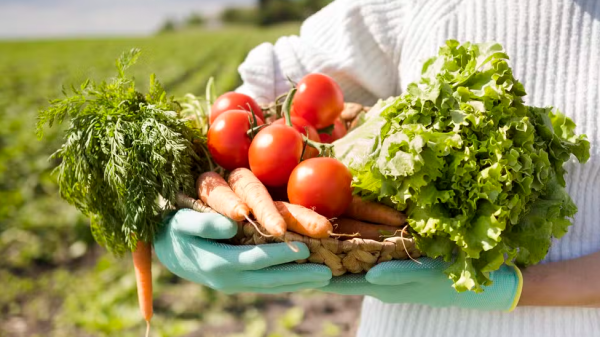 Prefeitura cadastra agricultores familiares para aquisição de alimentos