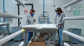 Paraná foi o estado que mais colocou mulheres no mercado de trabalho pela rede Sine em maio