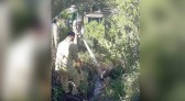 Cavalo cai em valeta, Bombeiros e vizinhos tentam resgatá-lo