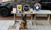 Carga milionária de iPhones é apreendida em fundo falso de caminhão no Paraná