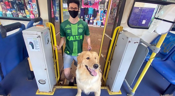 Chapecó aprova lei que autoriza cão guia para pessoas com deficiência