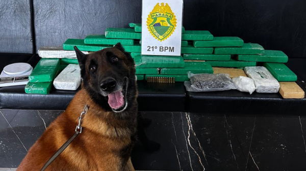 Operação conjunta da PM e Receita Federal resulta em apreensão de R$ 130 mil em drogas