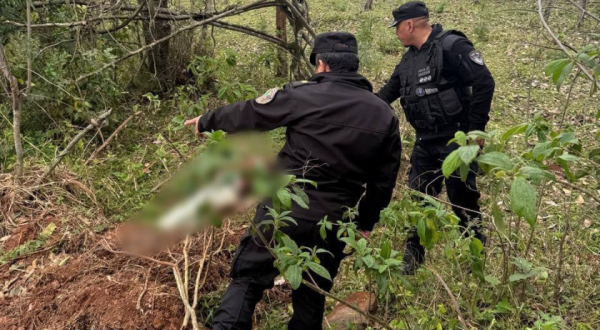 Mulher é encontrada morta e polícia investiga se crime ocorreu no Brasil