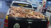 Mais de 480kg de maconha são apreendidos pela polícia na PR 483
