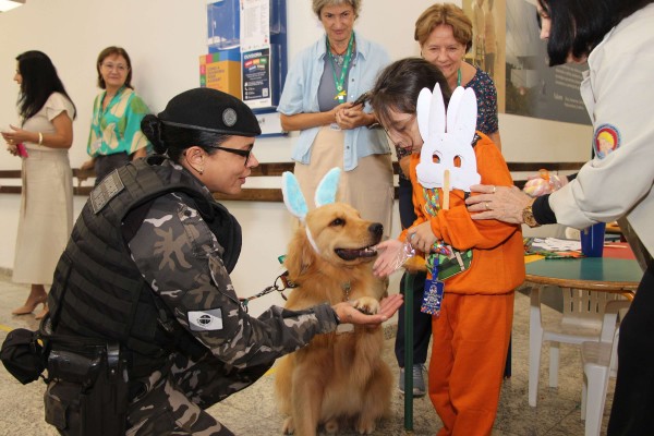 Cães da PMPR passam a auxiliar no tratamento de pacientes em hospital de reabilitação