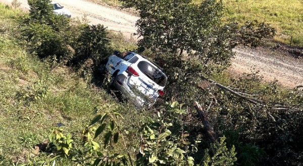 Boi na pista provoca acidente com veículo da saúde que seguia para São Miguel do Oeste