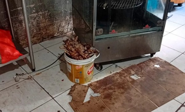 Cozinha de restaurante é interditada por falta de higiene