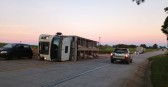 Caminhão carregado com porcos tomba na PRC-280