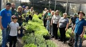 Projeto Plante e Colha Saúde inicia ações de 2026 com entrega de mudas
