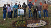 Lideranças realizam plantio de arvore símbolo de Marmeleiro