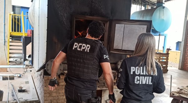 Polícia Civil incinera mais de 156 quilos de drogas