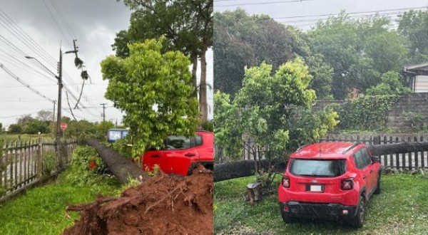Temporal provoca grandes estragos em Francisco Beltrão e Marmeleiro