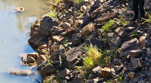 Corpo encontrado no Rio Marrecas pode ser de homem envolvido em furtos