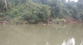 Corpo de Bombeiros de Capanema localiza corpo de homem que estava desaparecido no Rio Iguaçu