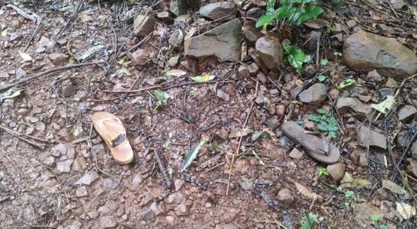 Polícia prende suspeito de estupro e homicídio de mulher com deficiência em Capanema