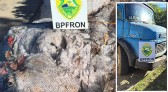 BPFRON apreende caminhão carregado com recicláveis irregulares vindos da Argentina