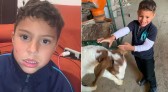 Buscas por menino autista desaparecido entram no segundo dia