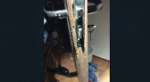 Invasor é preso em flagrante após arrombar casa e tentar cometer estupro