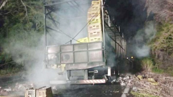 Caminhão carregado com frangos pega fogo na BR-280 em Renascença