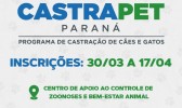 Programa Castrapet abre inscrições, em Francisco Beltrão