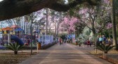 IBGE vai visitar 5 mil domicílios no Paraná para mapear informações de saúde