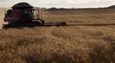 Sicoob SC/RS tem demanda de R$ 4,2 bilhões para atender o produtor rural na próxima safra