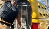 Grupo é preso em Chopinzinho por uso de documentos falsos em tentativa de golpe na Caixa Econômica Federal